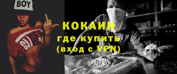 стаф Дмитриев