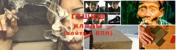 дмт Ельня