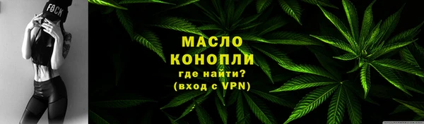 дмт Ельня