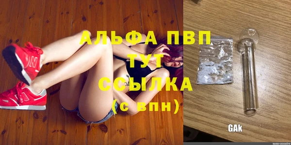 прущие крисы Елизово