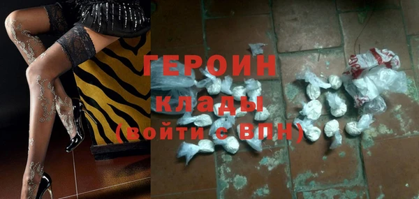 стаф Дмитриев