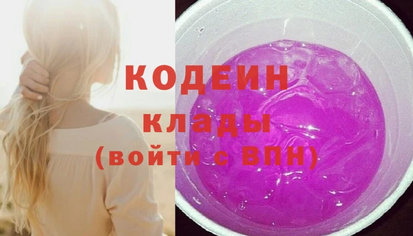 стаф Дмитриев