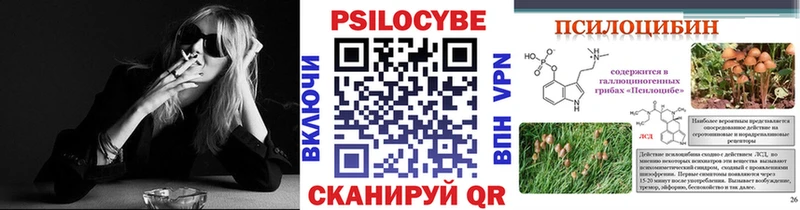 Псилоцибиновые грибы Psilocybe  купить наркотик  MEGA зеркало  Гагарин 